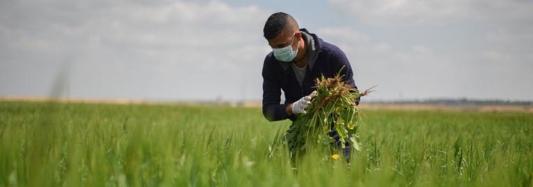 Palestine (State of) | Climate Promise